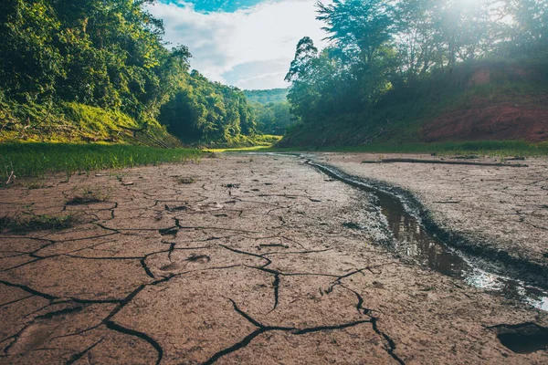 Ormanda odun, bulutlarda güneş ve bir nehir.