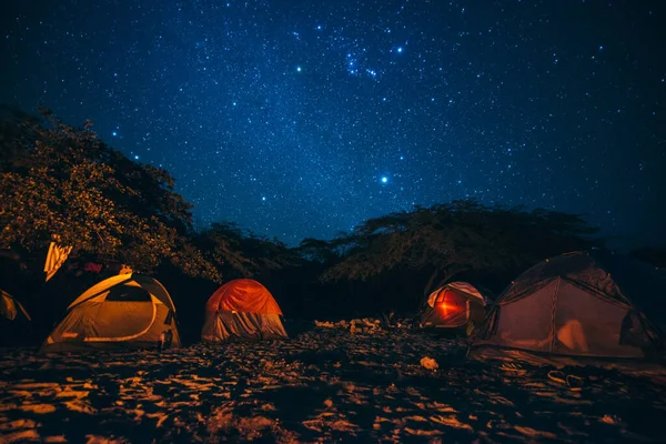 Yıldızlarla dolu bir plaj.