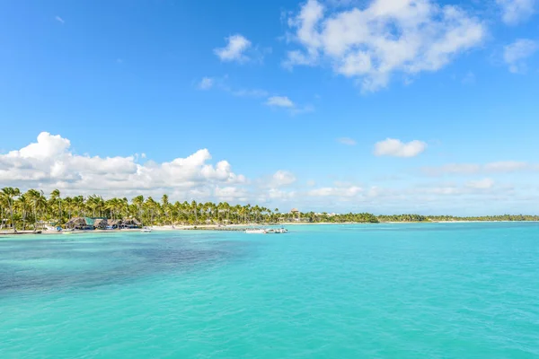 Punta cana Dominik Cumhuriyeti 'nde palmiye ağaçları olan Karayip plajı
