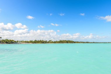 Punta cana Dominik Cumhuriyeti 'nde palmiye ağaçları olan Karayip plajı