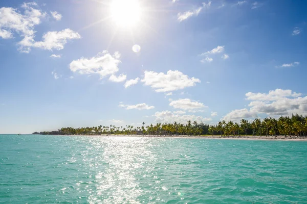 Playa Caribeña Con Palmeras Punta Cana República Dominicana — Foto de Stock