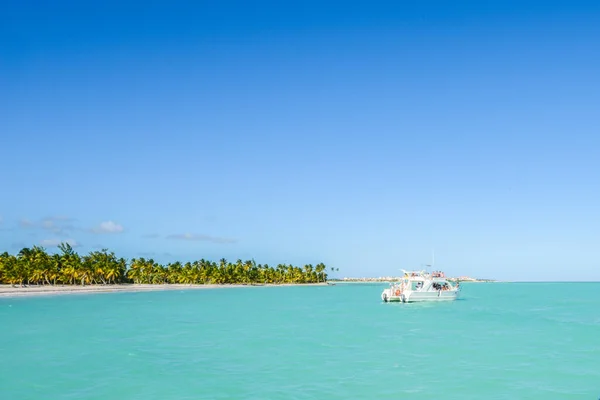 Playa Caribeña Con Palmeras Punta Cana República Dominicana Con Barco — Foto de Stock