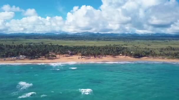 Playa natural con palmas de drones y montañas 2 1080 60fps — Vídeo de stock