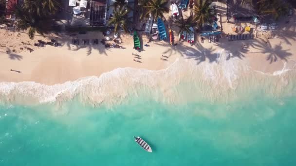 Barco no caribe com ondas e areia branca e palmeiras árvore como o paraíso 2 4k 24fps.mp4 — Vídeo de Stock