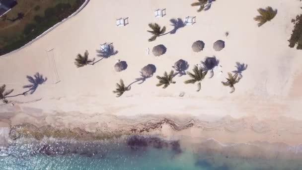 Cenital drone of caribbean beach in the hotel 4k 24fps — Stock videók