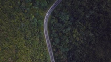 Forrest Wirh arabalarının ortasında 4k 24fps 'in ortasında okunan insansız hava aracı.