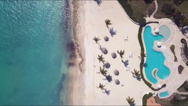 Karayip sahilinin havuzu ve dikey videosu 4k 24 fps olan yüzey insansız hava aracı çekimi. — Stok video