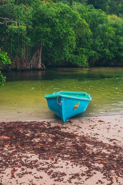 Nehirdeki tekne doğada