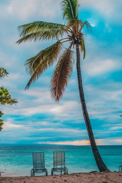 Plaj sandalyeleri ve bulutlu palmiye ağaçları ve mavi su