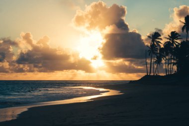 Karayipler 'de bulutlar ve palmiyelerle gün doğuyor.