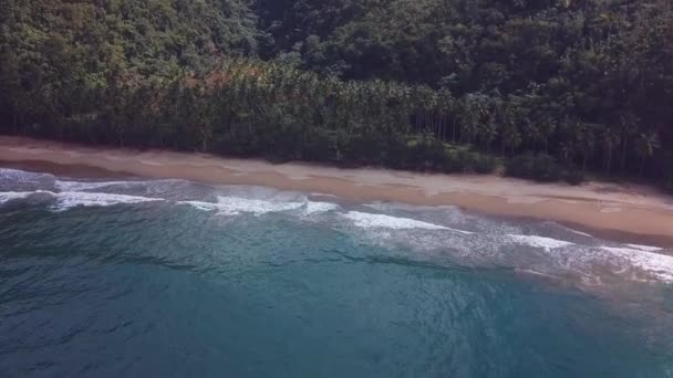 Praia Natural Paraíso Com Palmeiras Ondas Feitas Com Drone Montanhas — Vídeo de Stock