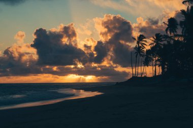 Karayipler 'de bulutlar ve palmiyelerle gün doğuyor.