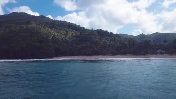 Montañas en la naturaleza con una playa y olas en medio de árboles con palmeras hechas con dron 4k 24fps — Vídeo de stock