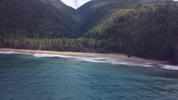 Palmiye ağaçları ve hava aracıyla yapılmış dalgalarla dolu bir cennetteki doğal sahil. 4k 24 fp. — Stok video