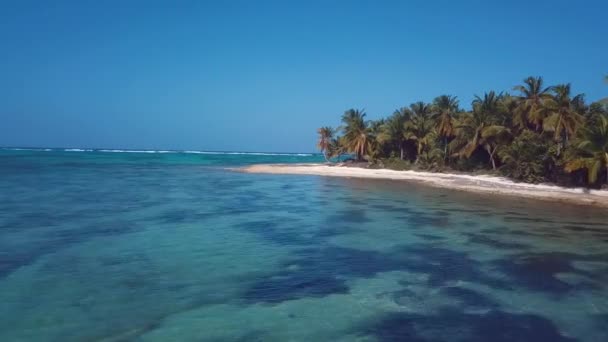 Paradijs strand in de caribische boon met blauw water en palmen boom4k 24fps — Stockvideo