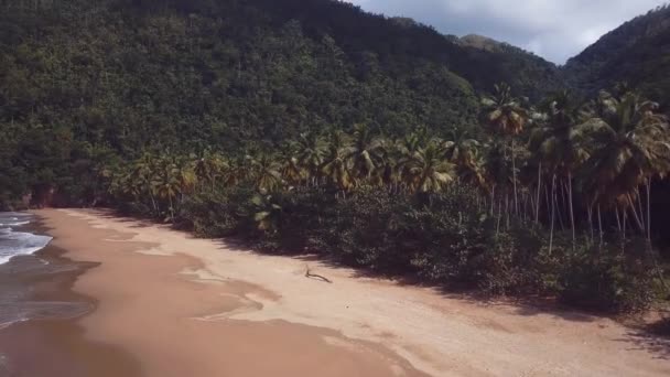 Paradijs strand met palmen boom maagd in het midden van de bergen 4k 24fps — Stockvideo