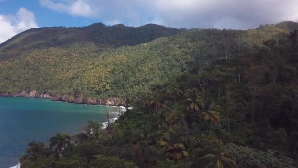 Playa paradisíaca en medio de la naturaleza con palmeras 4k 24fps — Vídeo de stock