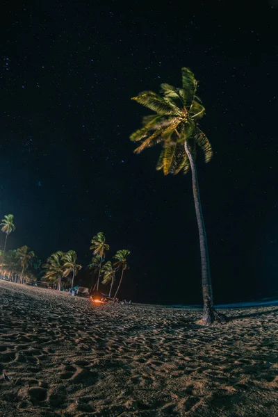 Bonfire Caribbean Beach Night Palmstree Waves — Stock Photo, Image