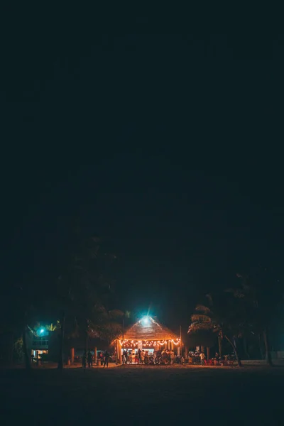 Пляжная Вечеринка Ночью Огнями Пальмами — стоковое фото