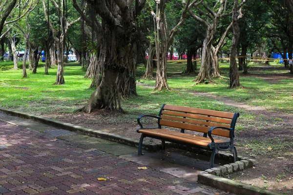 Banco Individual Parque — Foto de Stock