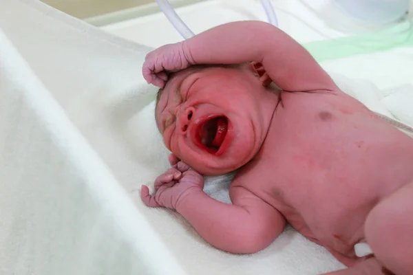Újszülött Fiú Sír Kórházban Stock Fotó