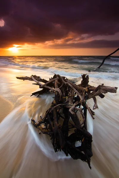 Driftwood Beach Dramatic Waves Sunset Kudat Sabah Borneo East Malaysia — Stock Photo, Image