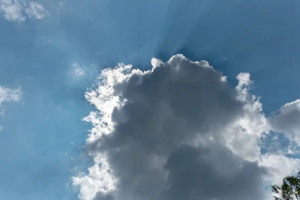 Eine Nahsicht Auf Die Sonnenstrahlen — Stockfoto