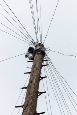 Bristol-Mayıs-2020-İngiltere-İnternet ve fiber bağlantı kablolarının yakın görüntüsü 