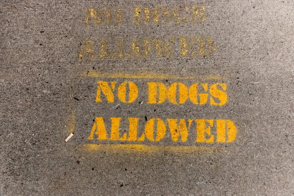 在柏油路上涂上不允许有狗的标志喷涂的近景 — 图库照片