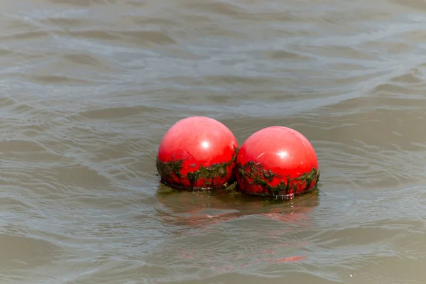 Una Vista Ravvicinata Due Piccoli Ragazzi Rossi Galleggianti Nell Acqua — Foto Stock