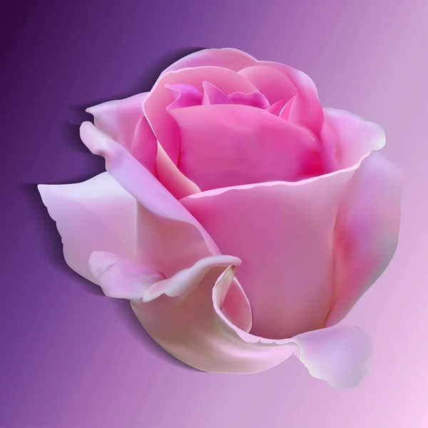 Rosa fotorrealista — Vector de stock