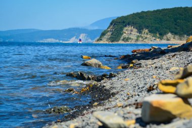 Bir dağ nehrinin kıyısında sonbahar bulutlu bir gün