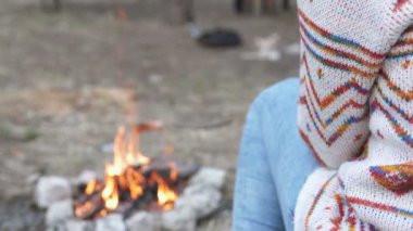 Açık hava pikniği ve doğada sıcak sosisler.