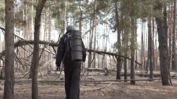 森林地帯での目標に向かって歩く観光客を向上させるクロスカントリー — ストック動画
