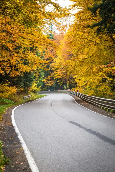 Herfst landschap met weg- en prachtige gekleurde bomen — Stockfoto