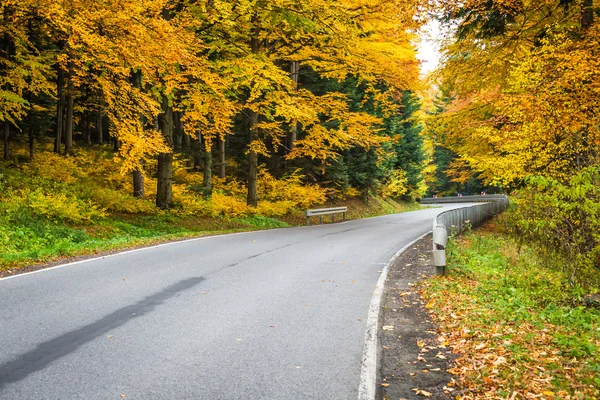 Herfst landschap met weg- en prachtige gekleurde bomen — Stockfoto