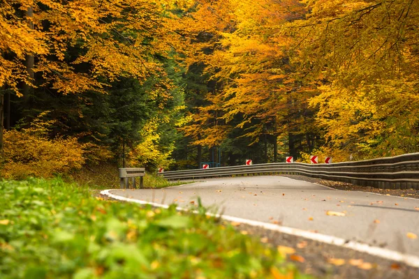 Höstlandskap med väg och vackra färgade träd — Stockfoto