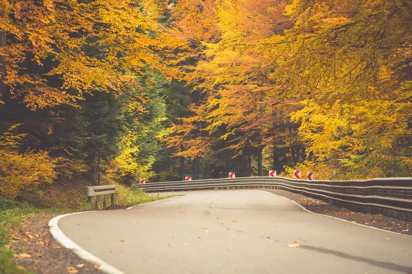 Paysage d'automne avec route et beaux arbres colorés — Photo