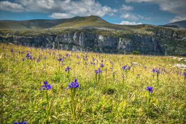 Pirene Dağları yatay yaz. Huesca, agaron