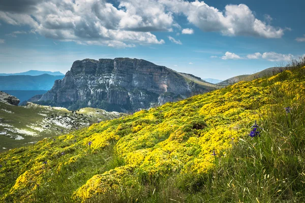 Pyrenéerna landskap - anisclo canyon i sommar. Huesca, — Stockfoto