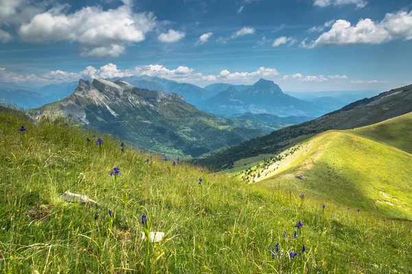 Pyreneeën bergen landschap in de zomer. Huesca, agaron — Stockfoto