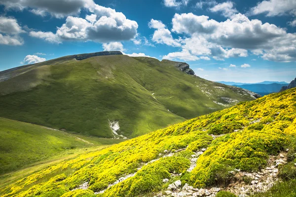 피레네 산맥 풍경-여름에 Anisclo 협곡. 카, — 스톡 사진