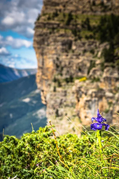 Bergen in de Pyreneeën, Nationaal Park Ordesa Valley, Aragon, — Stockfoto
