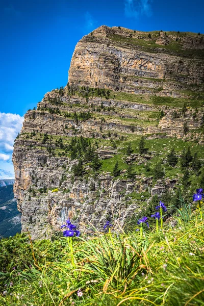 Mountains in the Pyrenees, Ordesa Valley National Park, Aragon, — Stock Photo, Image