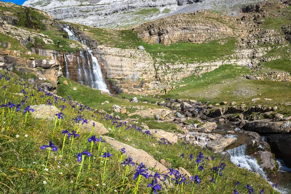 Cascata di cotatuero sotto il Monte Perdido nella valle di Ordesa Arag — Foto Stock