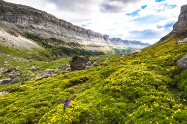 Ordesa Vadisi'nde pyrenees, huesca. İspanya.
