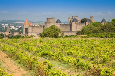 Carcassonne Ortaçağ Kalesi dışında büyüyen üzüm bağları