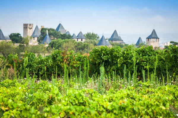 Winnice coraz poza średniowiecznej fortecy w Carcassonne i — Zdjęcie stockowe