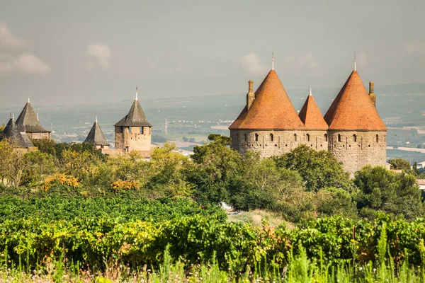 Vingårdar som växer utanför den medeltida fästningen av Carcassonne jag — Stockfoto