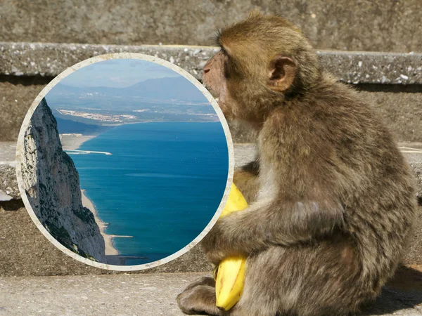 Collage of Gibraltar (my photos) — Stock Photo, Image